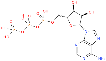 ADENOSINE 5'-TRIPHOSPHATE molecular structure