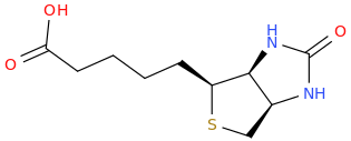 Biotin molecular structure