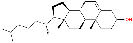 Cholesterol molecular structure