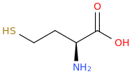 Homocysteine molecular structure