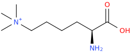 LAMININ molecular structure