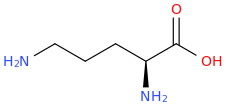 Ornithine molecular structure