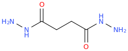 Succinohydrazide molecular structure