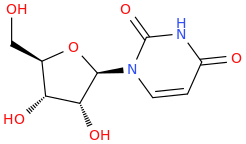 Uridine molecular structure