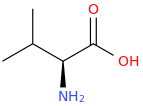 Valine molecular structure
