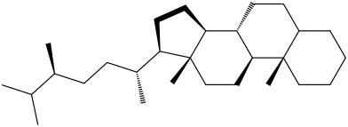 ergostane molecular structure