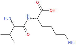 valyllysine molecular structure