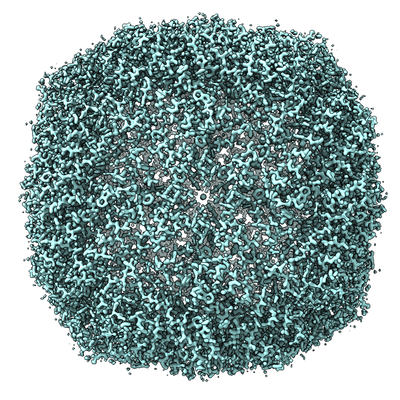 Empiar The 1 54 A Structure Of Apoferritin By Cryoarm300 With Cold Feg