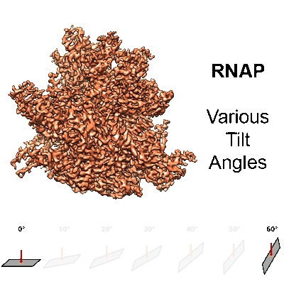 EMPIAR-11797