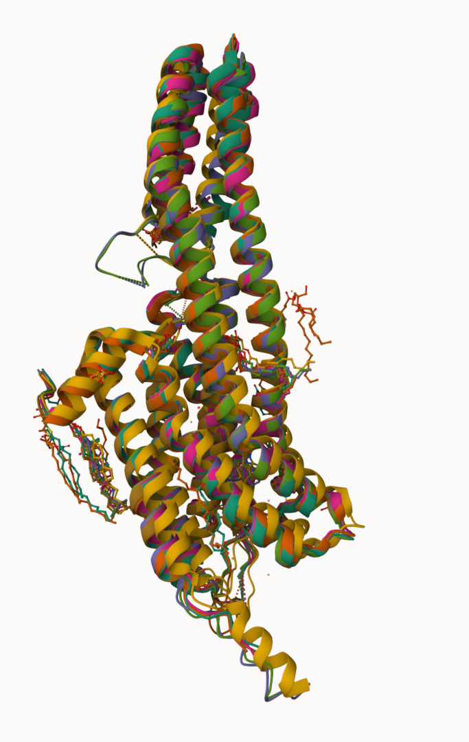 Figure 1. A comparison of the different small-molecule-bound 5-HT2BR crystal structures- PDB IDs 4IB4 (5-HT2BR/ERG, green), 4NC3 (5-HT2BR/ERG, orange), 5TVN (5-HT2BR/LSD, lilac), 6DRX (5-HT2BR/lisuride, pink), 6DRY (5-HT2BR/methylergometrine, green), 6DRZ (5-HT2BR/methysergide, yellow), 6DS0 (5-HT2BR/LY266097, ochre).