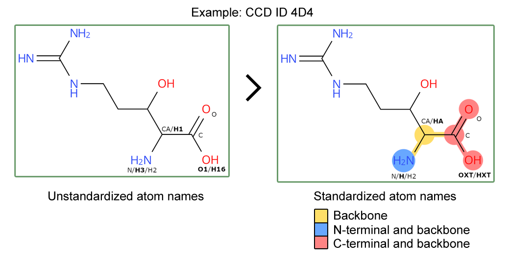 Schematic of peptide atoms highlighting changes in backbone atom annotation
