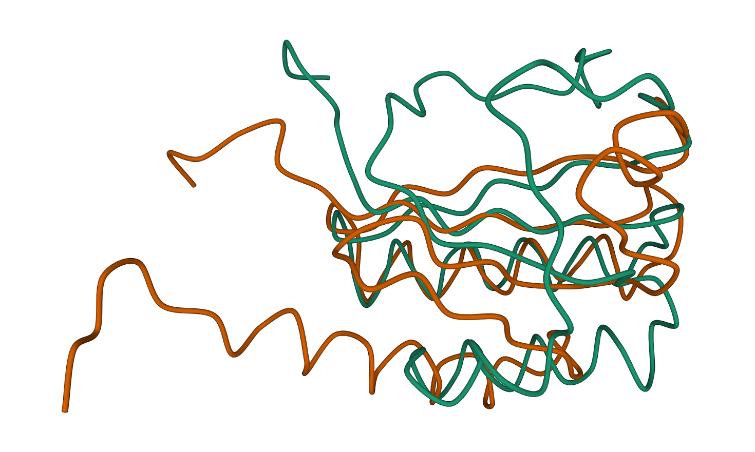 Multiple conformations of kaiB protein structures displayed in ribbon format