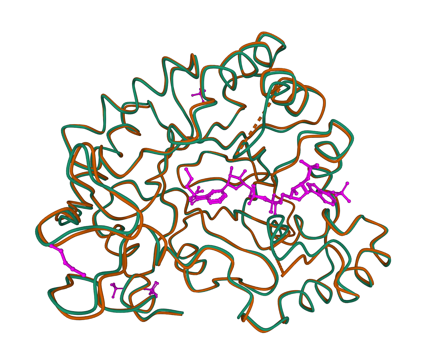 Multiple conformations of aldose reductase protein structures displayed in ribbon format