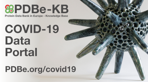 COVID-19 data on PDBe-KB pages now focused around specific proteins