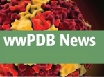wwPDB News logo