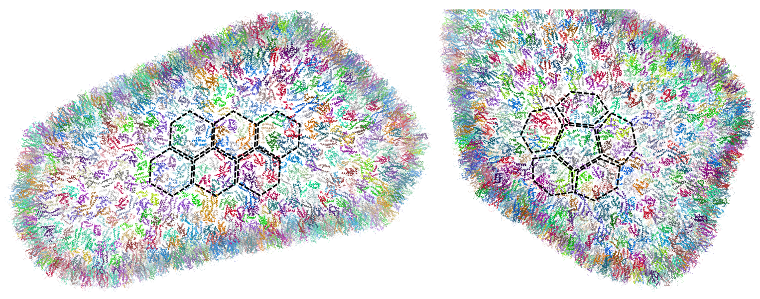 HIV capsid with geometric shapes highlighted