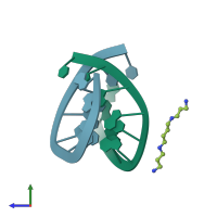 PDB entry 100d coloured by chain, side view.