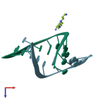 PDB entry 100d coloured by chain, top view.