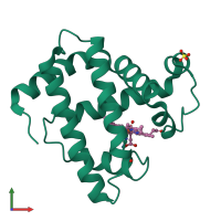 PDB entry 102m coloured by chain, front view.