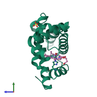 PDB entry 102m coloured by chain, side view.