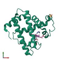 PDB entry 103m coloured by chain, front view.