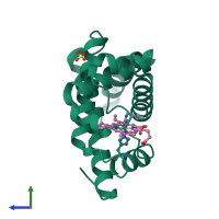PDB entry 103m coloured by chain, side view.