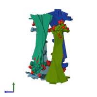 PDB entry 106d coloured by chain, ensemble of 8 models, side view.