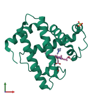 PDB entry 107m coloured by chain, front view.