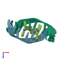 PDB entry 108d coloured by chain, ensemble of 40 models, top view.