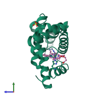 PDB entry 109m coloured by chain, side view.