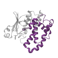 The deposited structure of PDB entry 10gs contains 2 copies of Pfam domain PF14497 (Glutathione S-transferase, C-terminal domain) in Glutathione S-transferase P. Showing 1 copy in chain A.