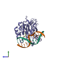 PDB entry 10mh coloured by chain, side view.