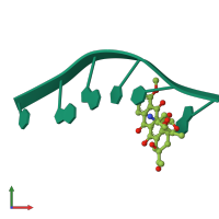 PDB entry 110d coloured by chain, front view.