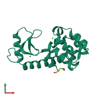 PDB entry 113l coloured by chain, front view.