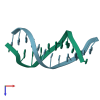 PDB entry 114d coloured by chain, top view.