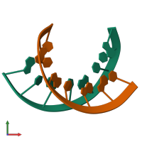 PDB entry 124d coloured by chain, front view.