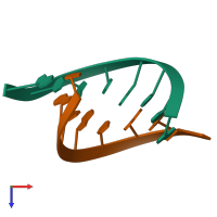 PDB entry 124d coloured by chain, top view.