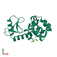 PDB entry 125l coloured by chain, front view.