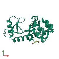 PDB entry 131l coloured by chain, front view.