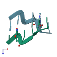 PDB entry 133d coloured by chain, top view.