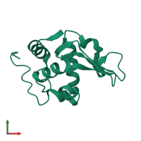 PDB entry 134l coloured by chain, front view.