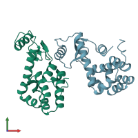 PDB entry 137l coloured by chain, front view.