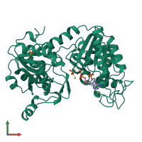 Monomeric assembly 3 of PDB entry 13pk coloured by chemically distinct molecules, front view.