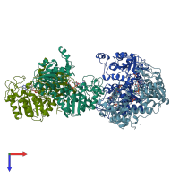 PDB entry 13pk coloured by chain, top view.