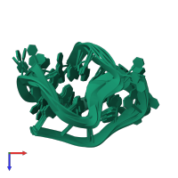 PDB entry 143d coloured by chain, ensemble of 6 models, top view.