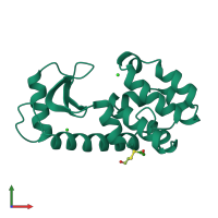 PDB entry 146l coloured by chain, front view.