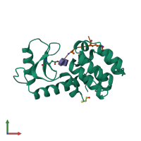 PDB entry 148l coloured by chain, front view.