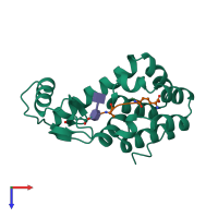 PDB entry 148l coloured by chain, top view.