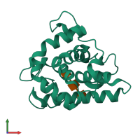 PDB entry 154l coloured by chain, front view.