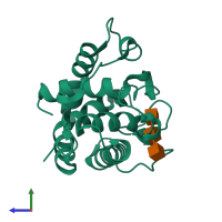 PDB entry 154l coloured by chain, side view.
